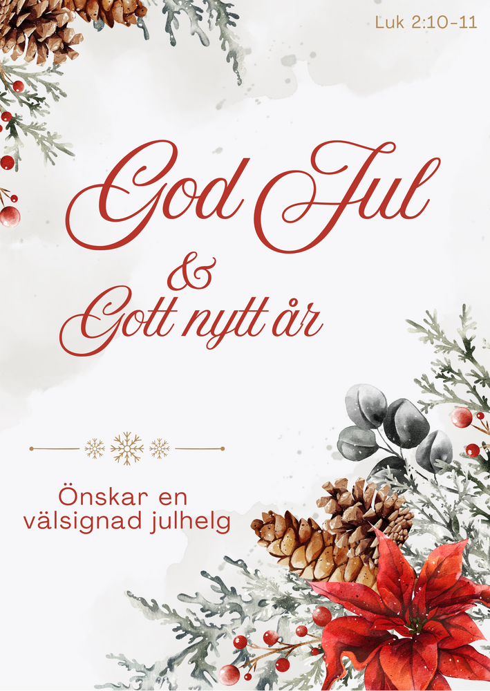 Product Image for Julkort - god jul & gott nytt år - luk 2:10-11
