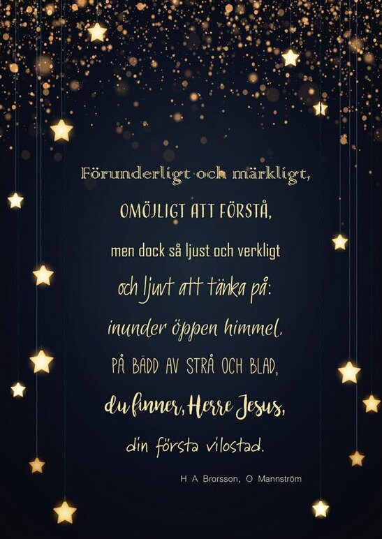 Product Image for Julkort – jul1586