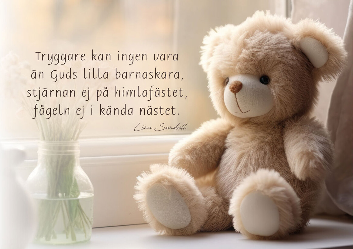 Product Image for Vykort - tryggare kan ingen vara