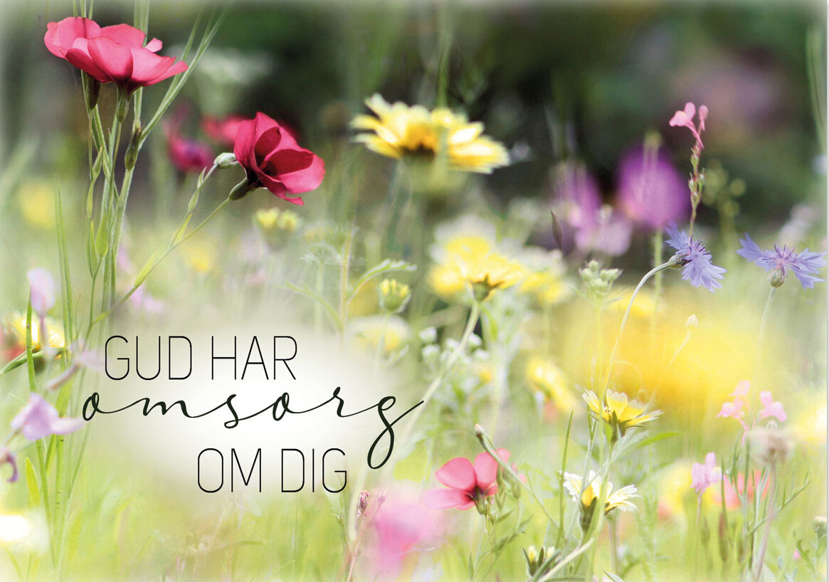 Product Image for Vykort - Gud har omsorg om dig