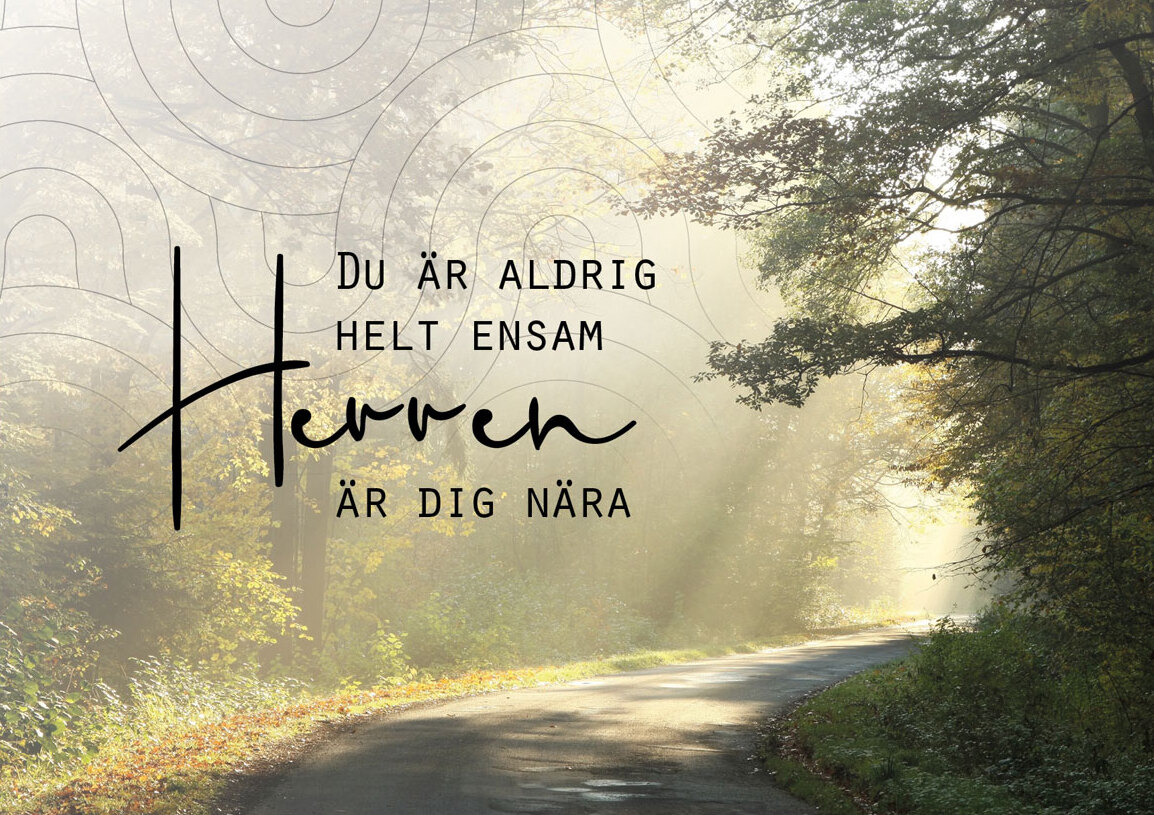 Product Image for Vykort - du är aldrig ensam