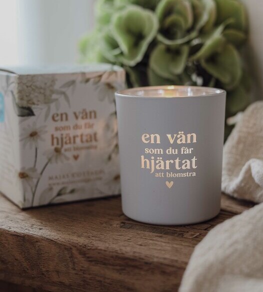 Product Image for Lykta - en vän som du får hjärtat att blomstra